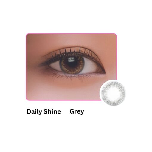 1-Day Blincon Shine Grey